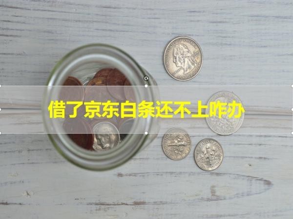借了京東白條還不上咋辦？詳細說明