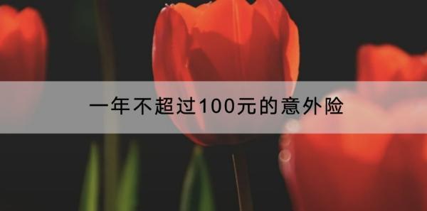 一年不超過100元的意外險有哪些？意外險買長期好嗎？
