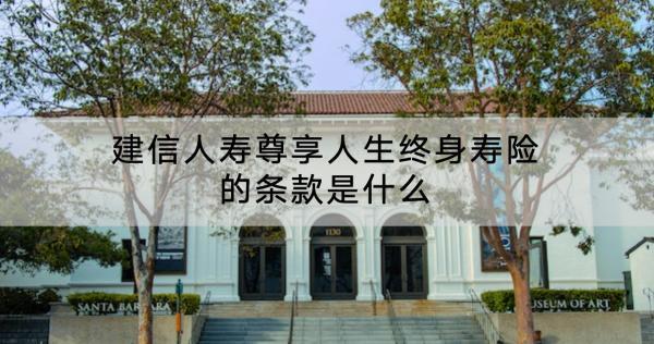 建信人壽尊享人生終身壽險的條款是什么？怎么樣？