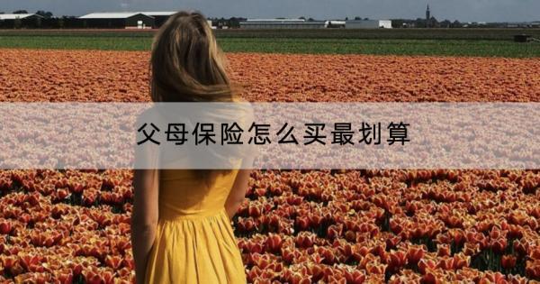 父母保險(xiǎn)怎么買最劃算？一般多少錢？