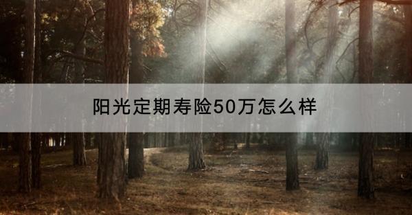 陽(yáng)光定期壽險(xiǎn)50萬(wàn)怎么樣