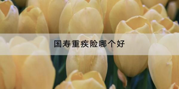 國壽重疾險哪個好？一年多少錢？