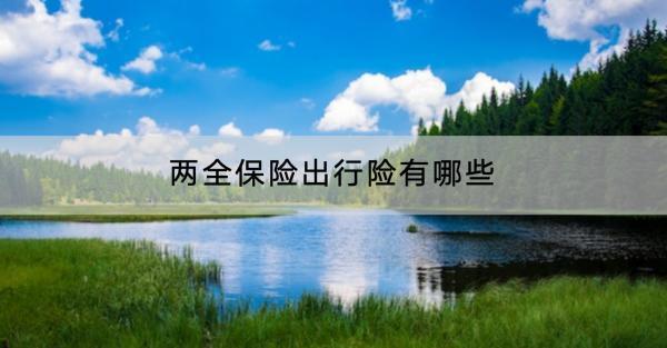 兩全保險(xiǎn)出行險(xiǎn)有哪些？怎么購買？