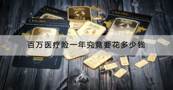 百萬醫(yī)療險一年究竟要花多少錢？有哪些坑需要注意？