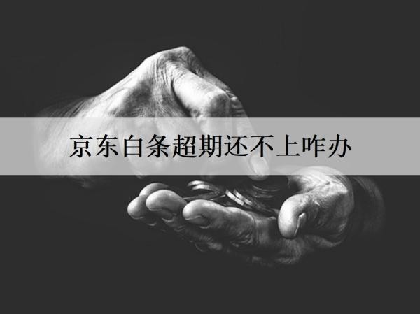 京東白條超期還不上咋辦？京東白條還不上處理辦法及后果