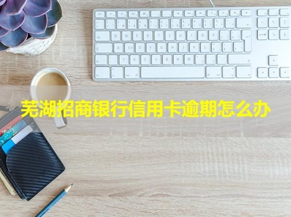 蕪湖招商銀行信用卡逾期怎么辦？幾步解決