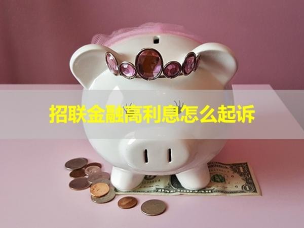招聯(lián)金融高利息怎么起訴？詳細(xì)說明