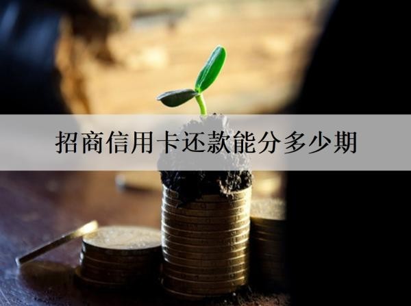 招商信用卡還款能分多少期？分期有哪些優(yōu)勢？