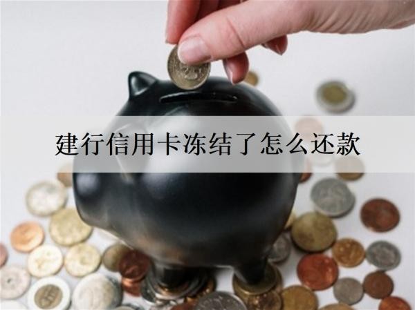建行信用卡凍結(jié)了怎么還款？還款最高能分幾期？