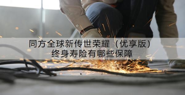 同方全球新傳世榮耀（優(yōu)享版）終身壽險有哪些保障？值得買嗎？