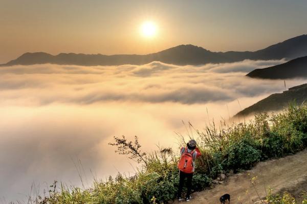 泰康好孕寶母嬰住院醫(yī)療險有什么投保規(guī)則？有必要買嗎？