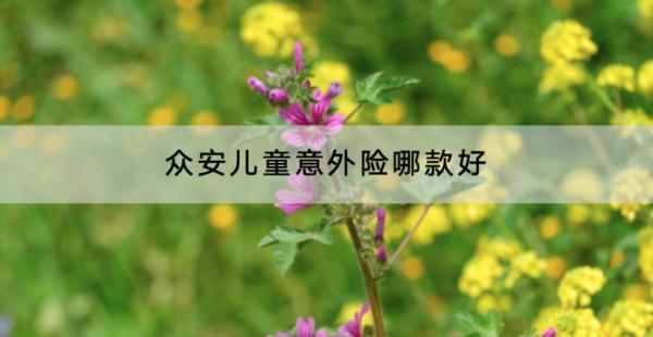 眾安兒童意外險哪款好