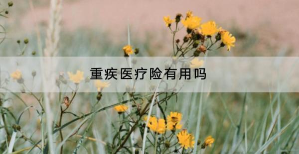 重疾醫(yī)療險(xiǎn)有用嗎