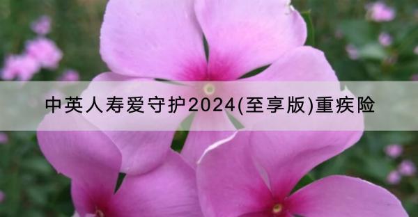中英人壽愛守護2024(至享版)重疾險怎么樣？有哪些投保規(guī)則？
