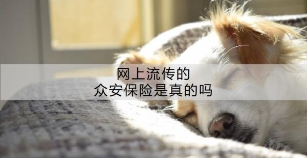 網(wǎng)上流傳的眾安保險(xiǎn)是真的嗎？附眾安保險(xiǎn)產(chǎn)品推薦！