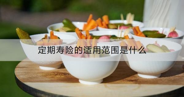 定期壽險的適用范圍是什么？需要健康告知嗎？