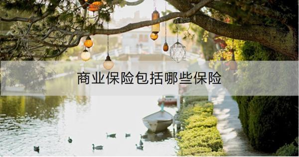 商業(yè)保險(xiǎn)包括哪些保險(xiǎn)