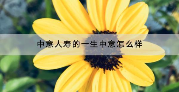 中意人壽的一生中意怎么樣？在哪里買？