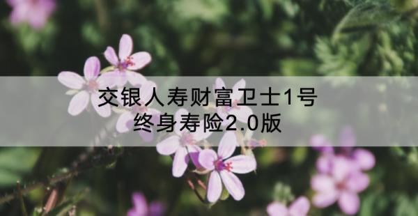 交銀人壽財(cái)富衛(wèi)士1號(hào)終身壽險(xiǎn)2.0版怎么樣？收益怎么樣？