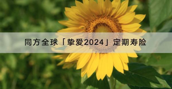 同方全球「摯愛2024」定期壽險(xiǎn)有哪些投保規(guī)則？在哪里購買？