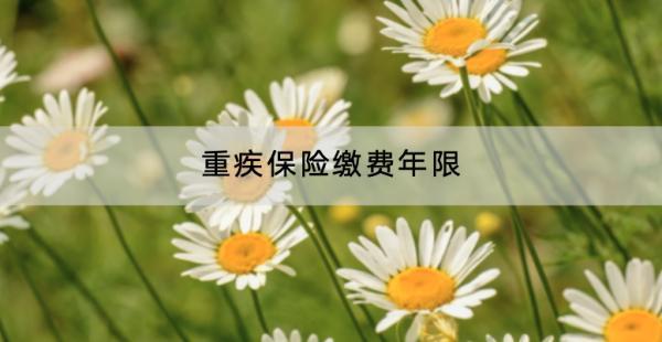 重疾保險繳費(fèi)年限是多久？怎么選？