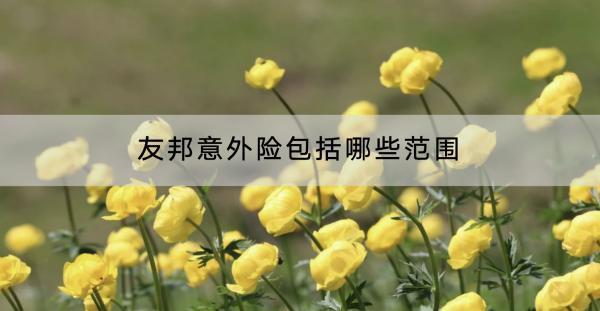 友邦意外險(xiǎn)包括哪些范圍