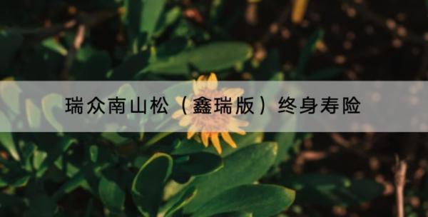 瑞眾南山松（鑫瑞版）終身壽險(xiǎn)產(chǎn)品介紹？收益怎么樣？