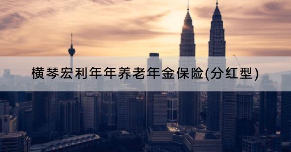 橫琴宏利年年養(yǎng)老年金保險(xiǎn)(分紅型)條款介紹，收益有多少？