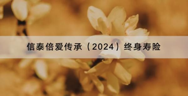 信泰倍愛傳承（2024）終身壽險投保要求是什么？有哪些增值服務(wù)？