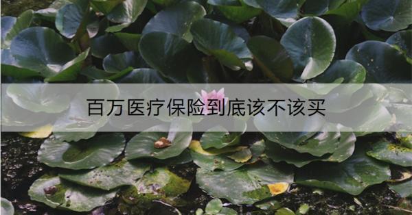 百萬醫(yī)療保險(xiǎn)到底該不該買？怎么買?。?>
                                            </div>
                                        </a>
                                        <h2 class=