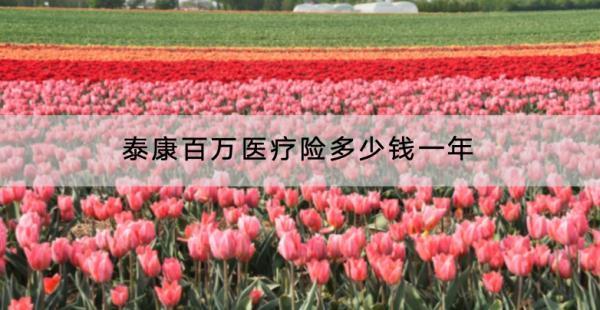 泰康百萬(wàn)醫(yī)療險(xiǎn)多少錢一年