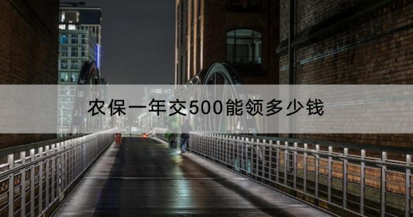 農(nóng)保一年交500能領(lǐng)多少錢