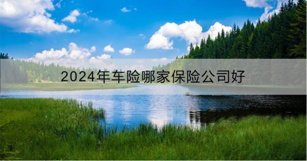 2024年車險哪家保險公司好??？看完這篇文章你就知道了！