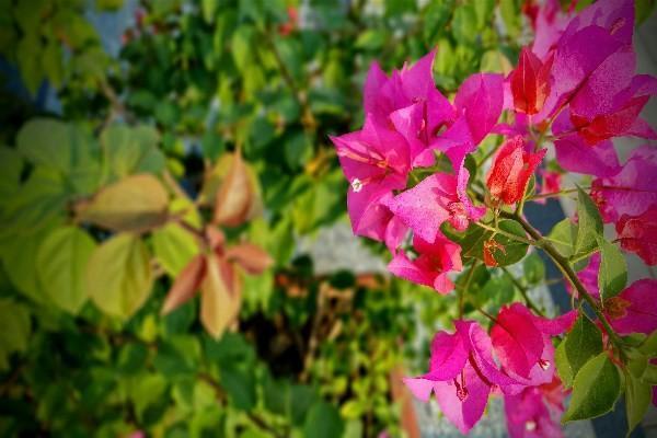 養(yǎng)老保險(xiǎn)退保新政策2024是什么？退保后多長(zhǎng)時(shí)間能拿到錢(qián)？