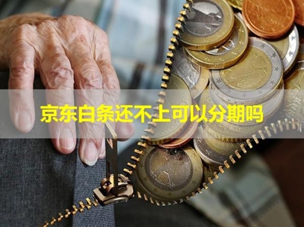 京東白條還不上可以分期嗎？試試看