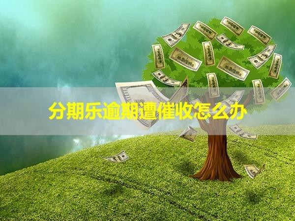 分期樂逾期遭催收怎么辦？這樣處理