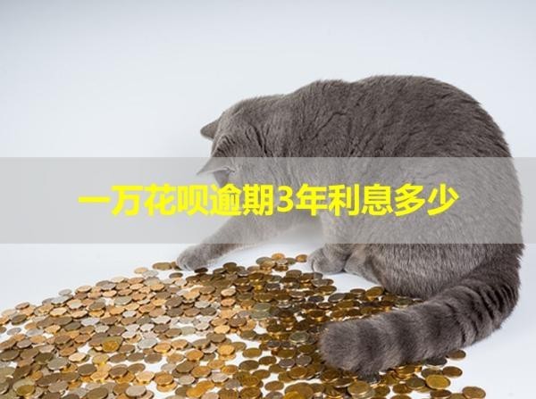 一萬花唄逾期3年利息多少？詳細說明