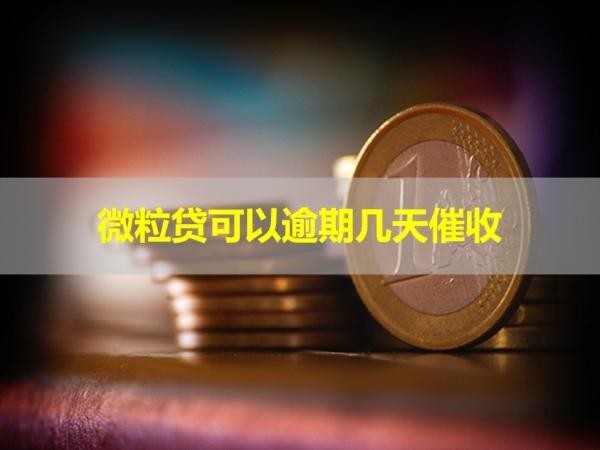 微粒貸可以逾期幾天催收？詳細(xì)解析