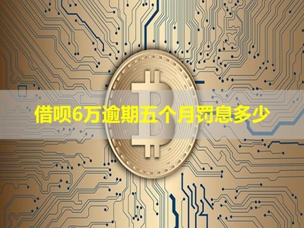 借唄6萬逾期五個月罰息多少？詳情解析