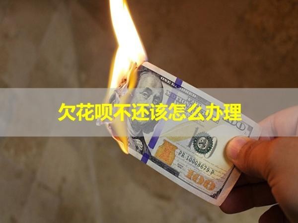 欠花唄不還該怎么辦理？詳細解析