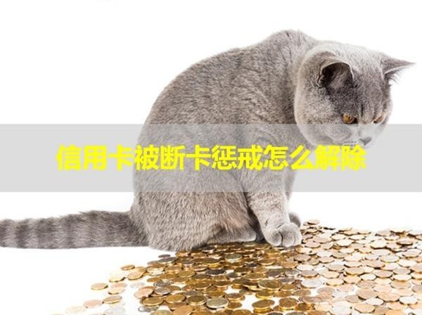 信用卡被斷卡懲戒怎么解除？兩種方式