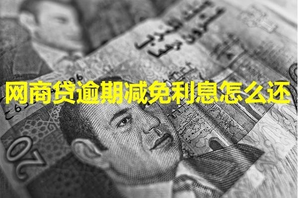 網(wǎng)商貸逾期減免利息怎么還？詳細(xì)解析