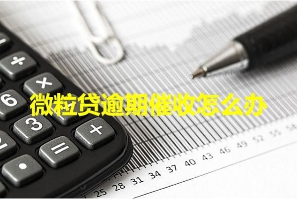 微粒貸逾期催收怎么辦？教你擺脫困擾