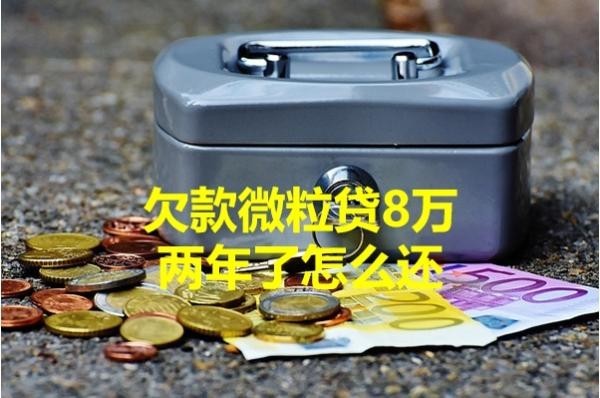 欠款微粒貸8萬兩年了