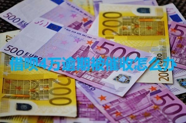 借唄4萬逾期被催收怎么辦？具體分析