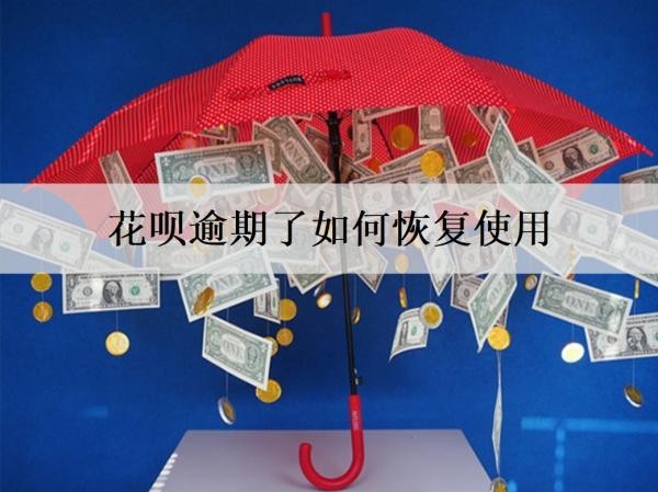 花唄逾期了如何恢復(fù)使用？逾期了為什么會(huì)催收？