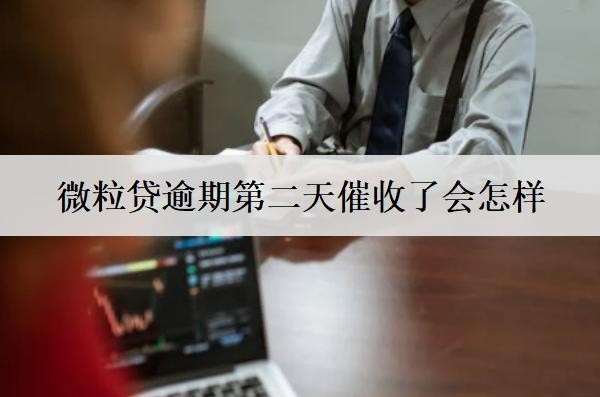 微粒貸逾期第二天催收了會(huì)怎樣？微粒貸逾期解決辦法分享
