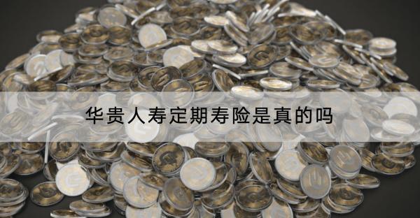 華貴人壽定期壽險(xiǎn)是真的嗎？定期壽險(xiǎn)好不好？