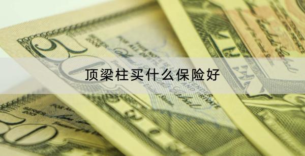 頂梁柱買什么保險好