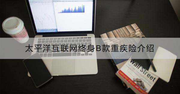 太平洋互聯(lián)網(wǎng)終身B款重疾險(xiǎn)
